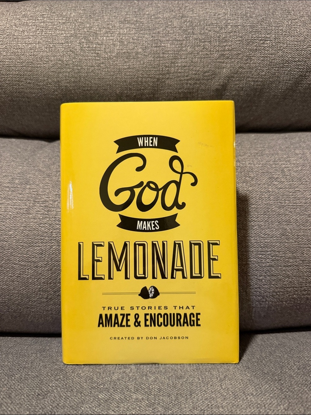 📚When God Makes Lemonade by Don Jacobson